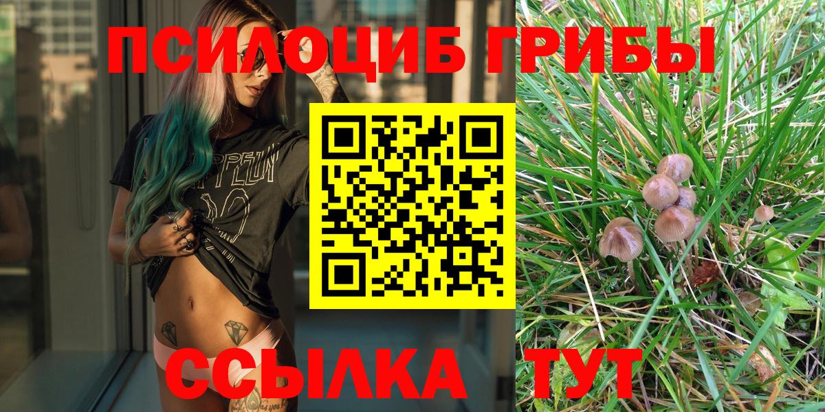 наркота  Вход с VPN  Алексеевка  Псилоцибиновые грибы Cubensis 